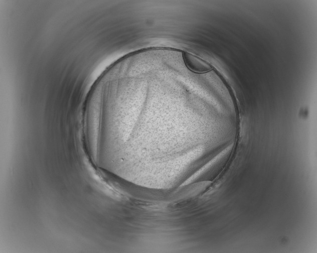 X0000112741048200909101511