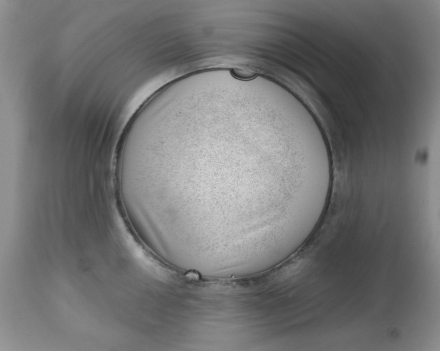 X0000112741050200909101511