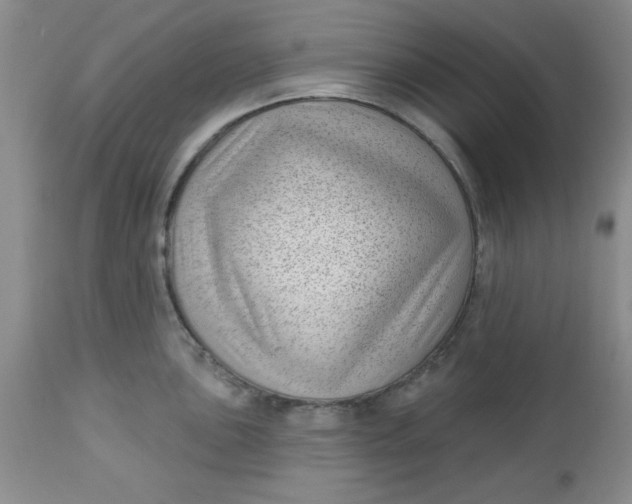 X0000112741051200909101511