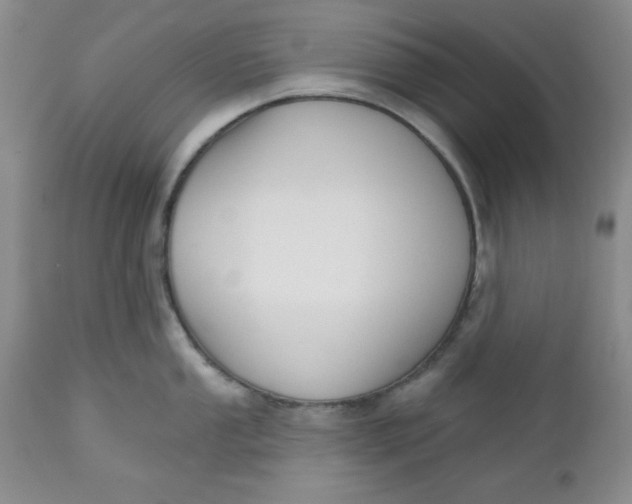 X0000112741053200909101511