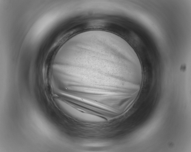 X0000112741054200909101511