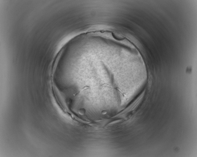 X0000112741055200909101511