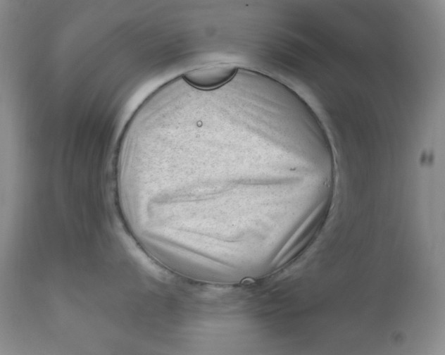 X0000112741056200909101511