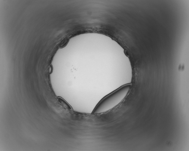 X0000112741057200909101510