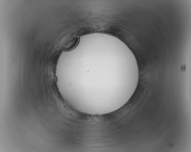 X0000112741058200909101510