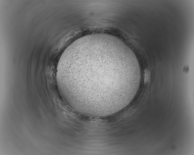 X0000112741059200909101510