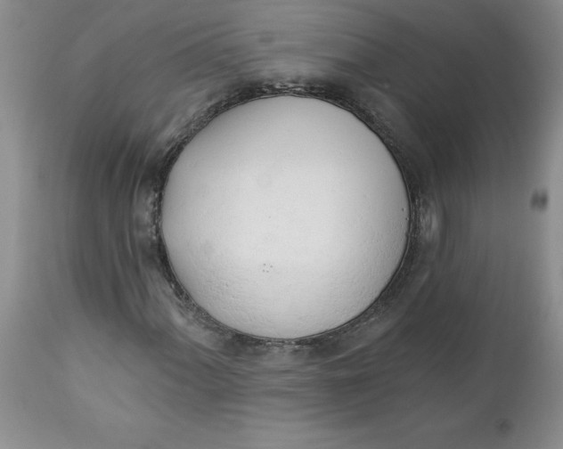 X0000112741060200909101510