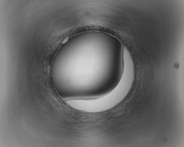 X0000112741061200909101510