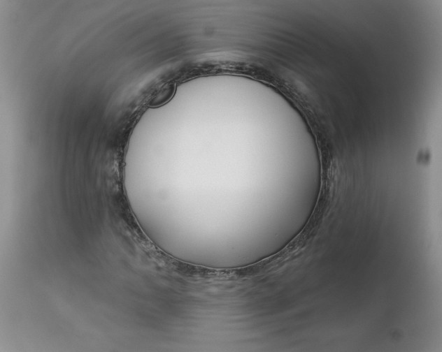 X0000112741062200909101510