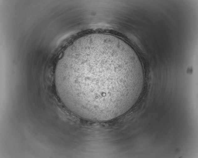 X0000112741063200909101510