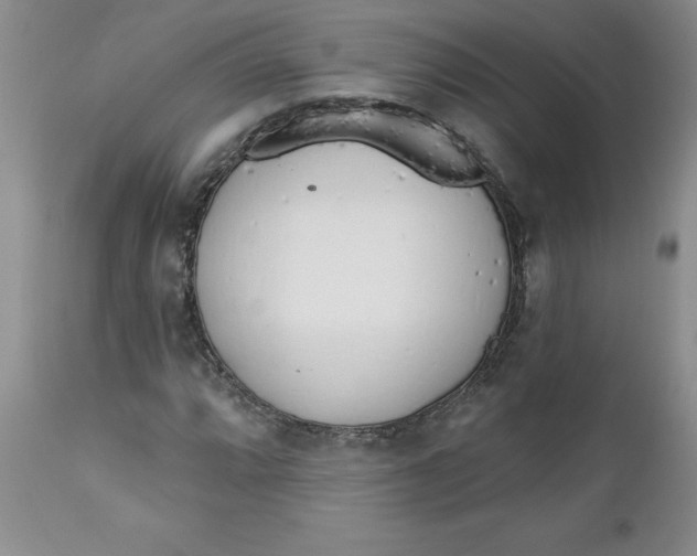 X0000112741064200909101510