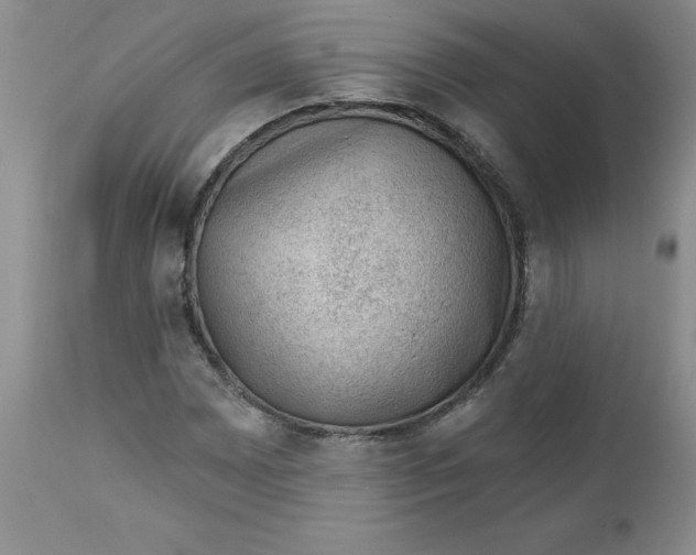 X0000112741065200909101510