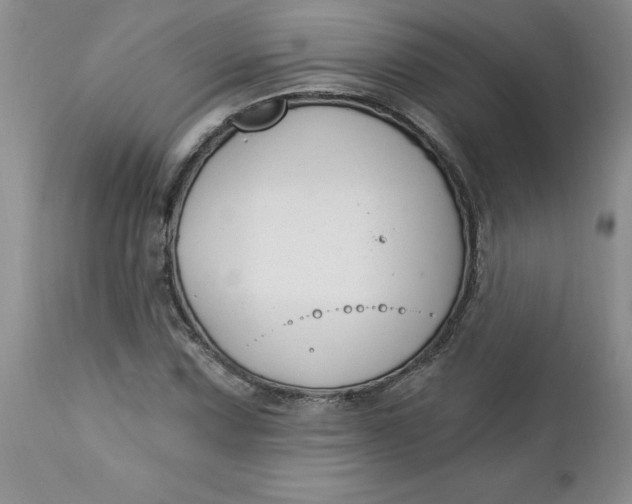 X0000112741067200909101510