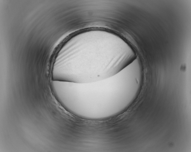 X0000112741068200909101510