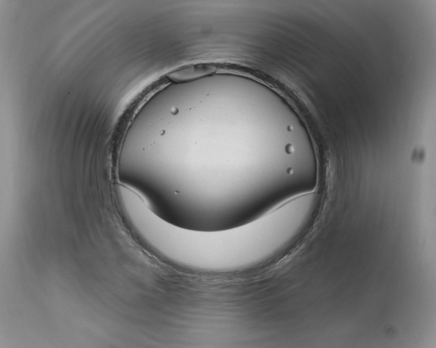 X0000112741069200909101510