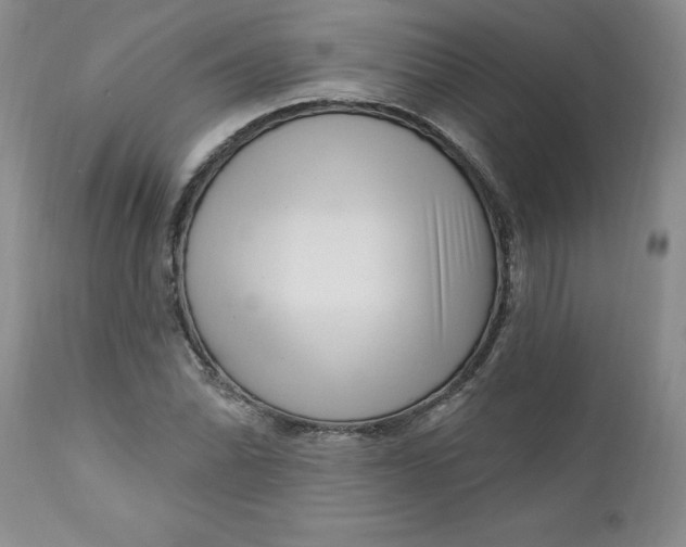 X0000112741070200909101510