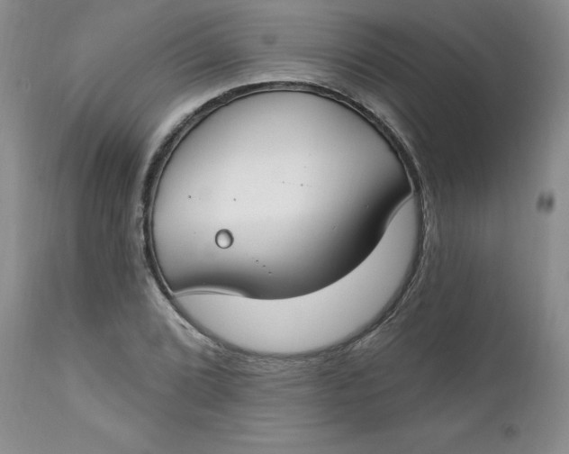 X0000112741072200909101510