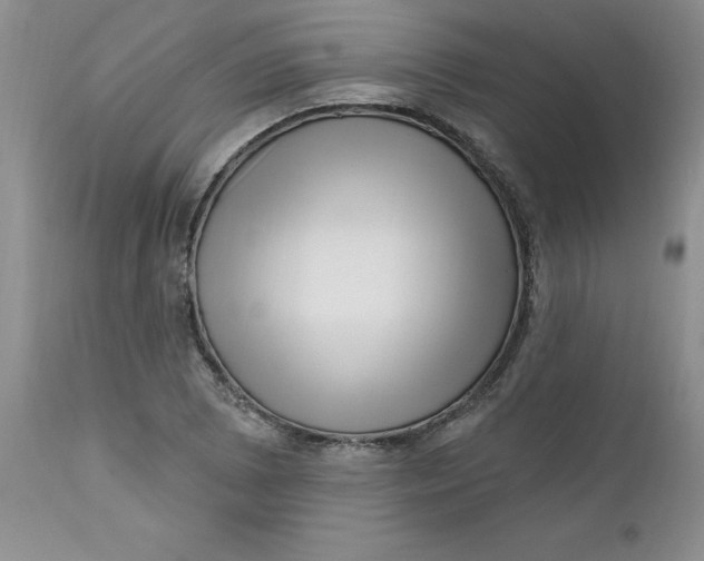 X0000112741073200909101510