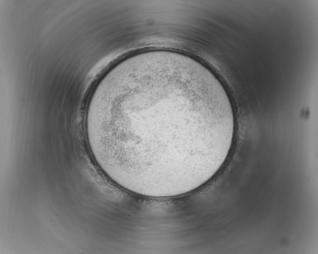 X0000112741074200909101510