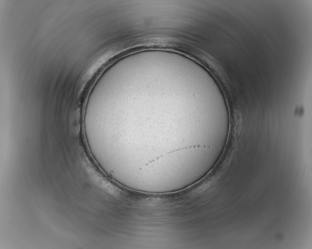 X0000112741075200909101510