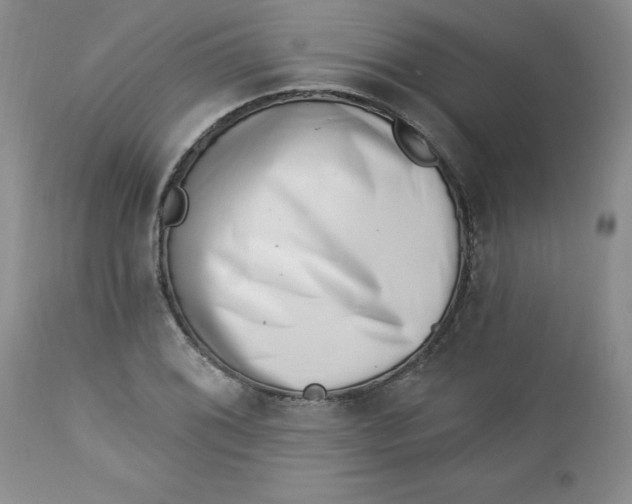 X0000112741076200909101510