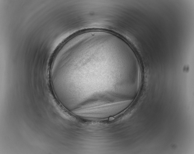 X0000112741077200909101510