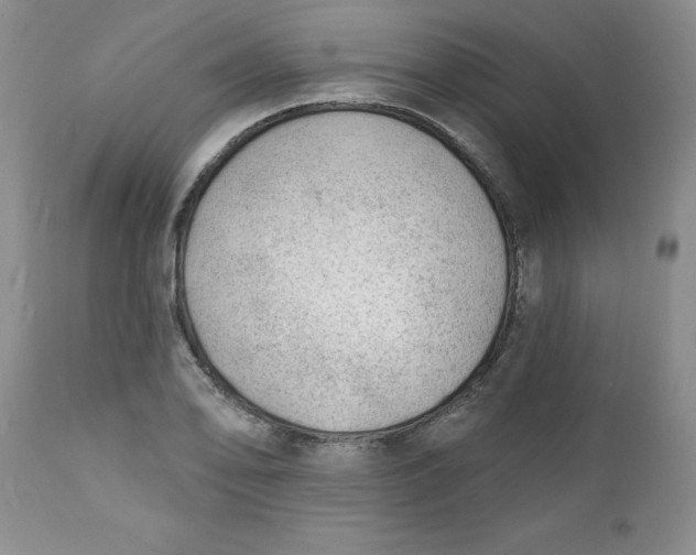 X0000112741078200909101510