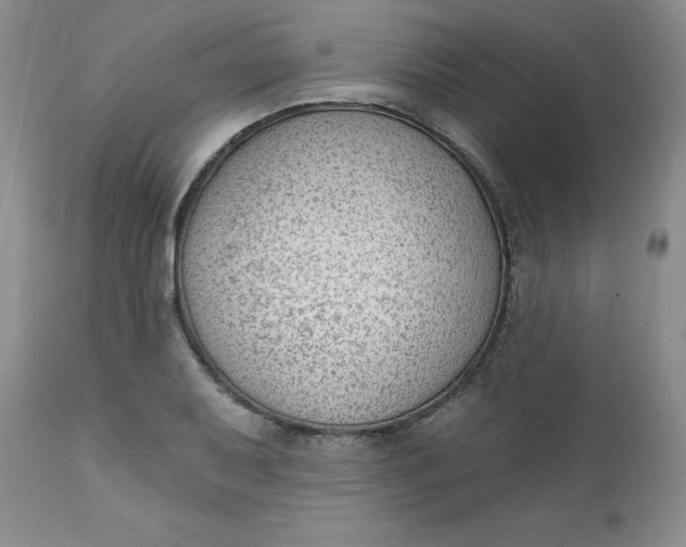 X0000112741079200909101510