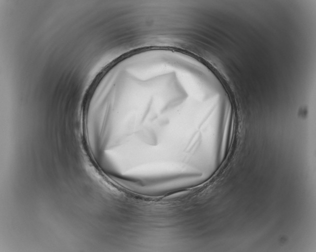 X0000112741080200909101510