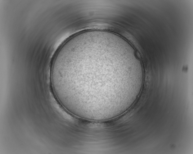 X0000112741083200909101510