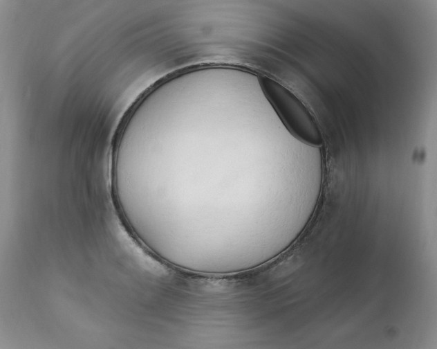 X0000112741084200909101510