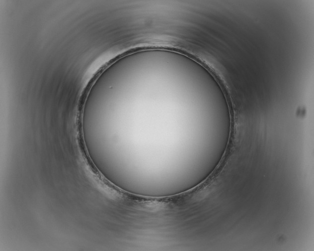 X0000112741085200909101510