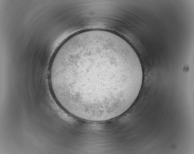 X0000112741086200909101510