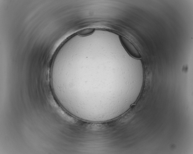 X0000112741092200909101510