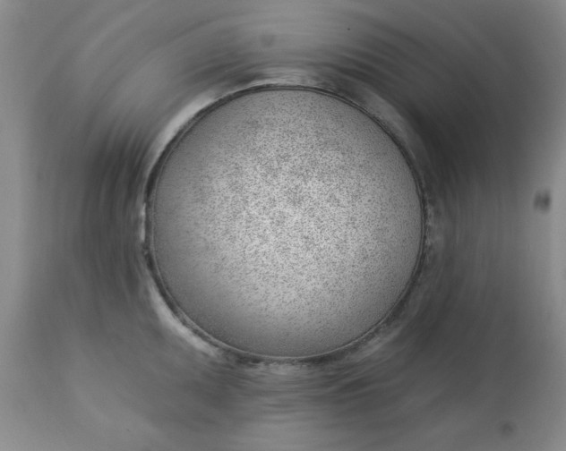 X0000112741095200909101510