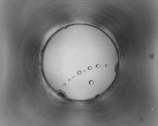 X0000112741096200909101510