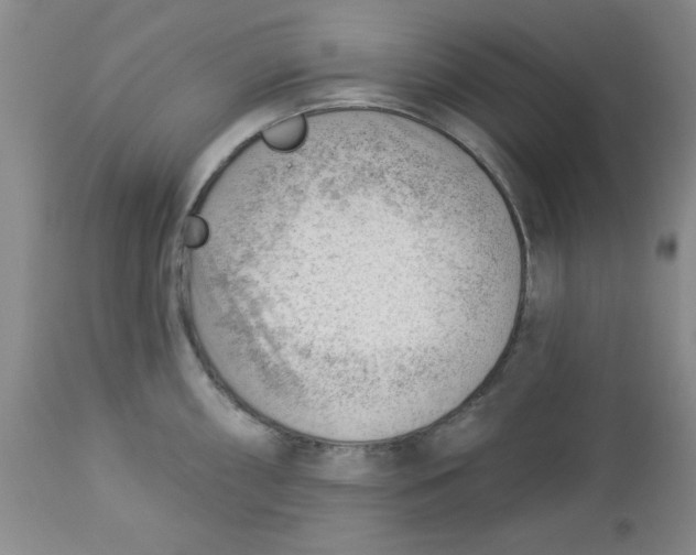 X0000112741098200909101510