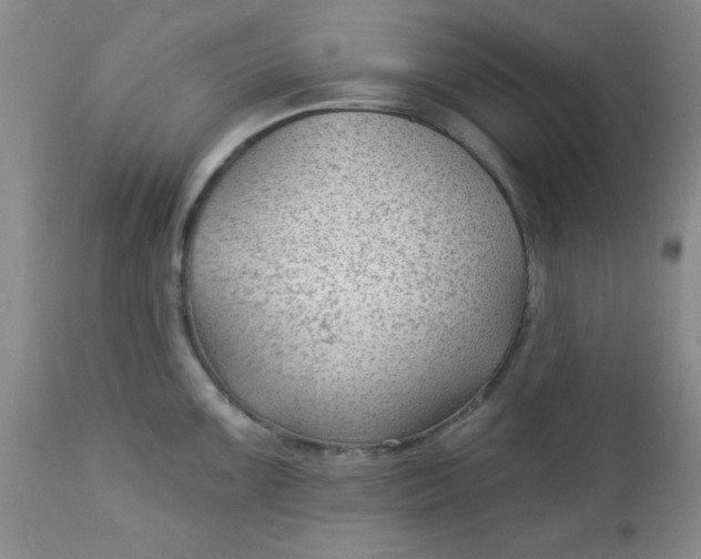 X0000112741099200909101509