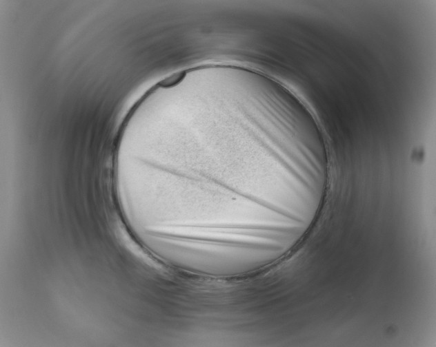 X0000112741100200909101509