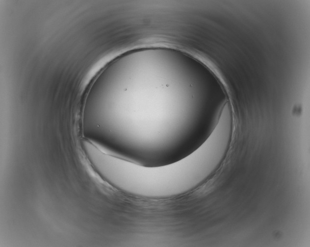 X0000112741101200909101509