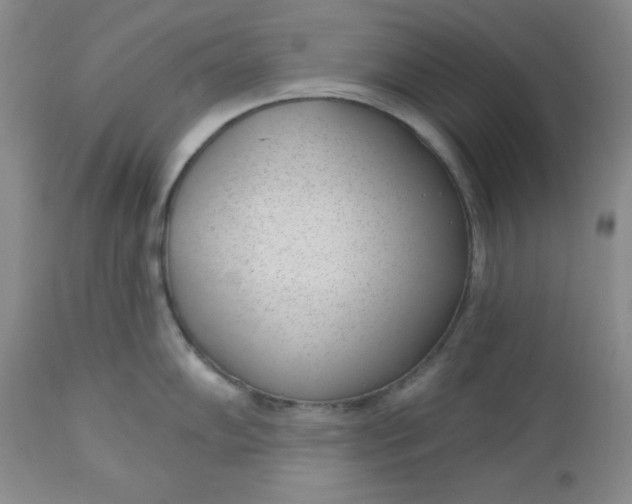 X0000112741102200909101509