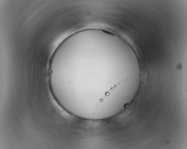 X0000112741103200909101509