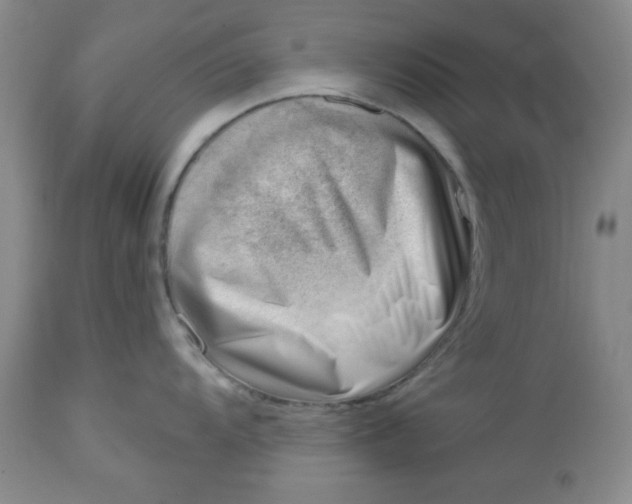 X0000112741104200909101509