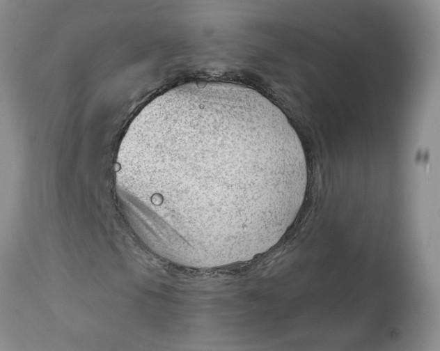 X0000112741105200909101509