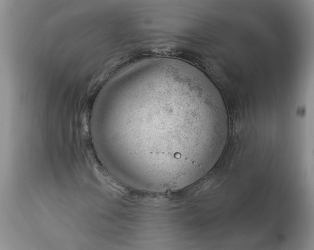 X0000112741106200909101509