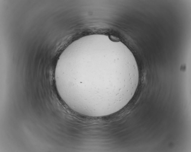 X0000112741108200909101509