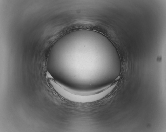 X0000112741109200909101509