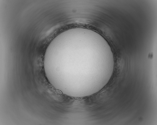 X0000112741110200909101509