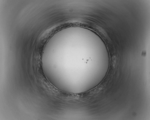 X0000112741111200909101509