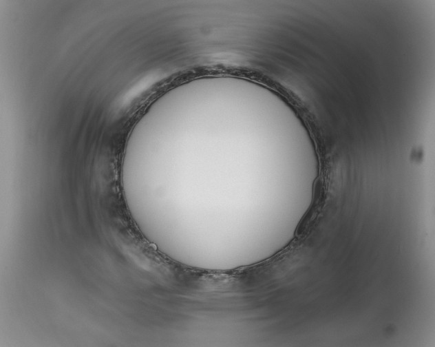 X0000112741112200909101509